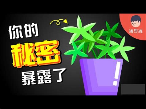 植物與人的關係|植物不是聽不到，他只是不想理你——《人類與自然的秘密連結》。